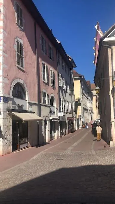 Appartement Proche Centre Ville Avec Parking Gratuit Annecy Apartment